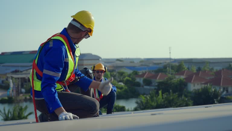 Best Cold Roofs  in West Branch, MI