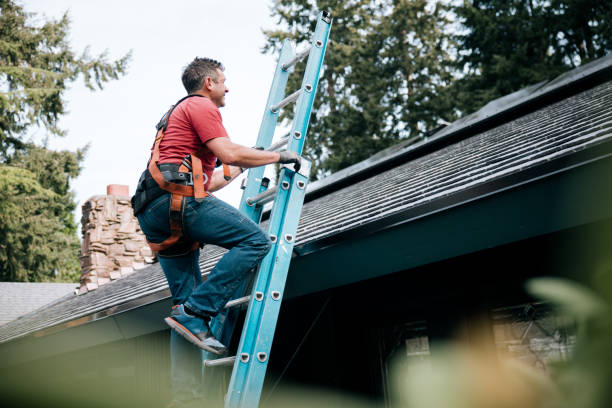 Best Storm Damage Roof Repair  in West Branch, MI